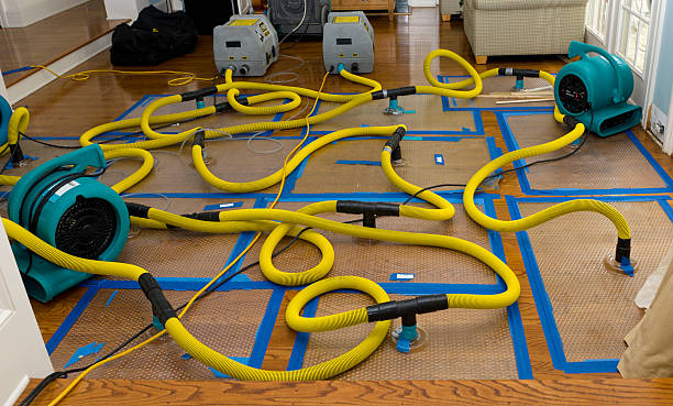Professional Crawl Space Water Removal technician working in Odessa, MO